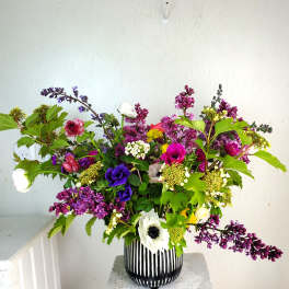 Colorful Wildflower (Growers Choice)