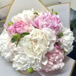 10 Stem Pink Peony Special