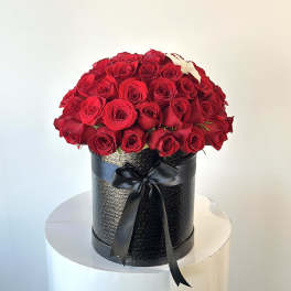 Red roses arranged in a black round box with a ribbon bow