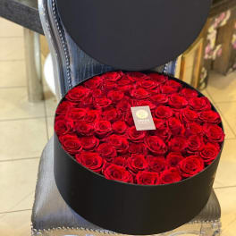 Parisian Hat Box