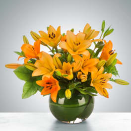 Lily Love by BloomNation™