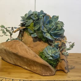 Piece of Arizona
