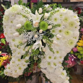 alas de angel funebre