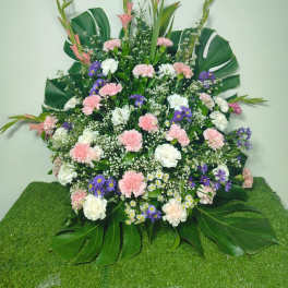avanico funebre pink
