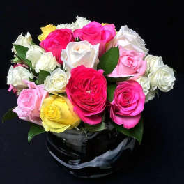 Rose Garden