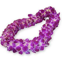 Hawaiian Lei A190