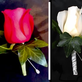 Rose Boutonniere AB2
