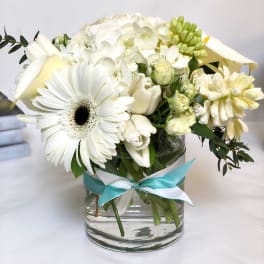 Crisp and White AD5