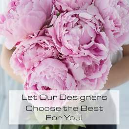 Adelaide's Designer's Choice