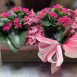Blooming Natural Garden