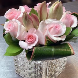 Sweet Love ADVD5