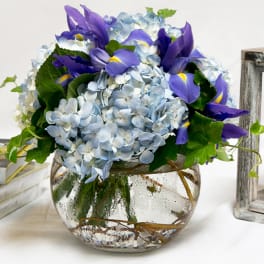 Sky Blue AD20