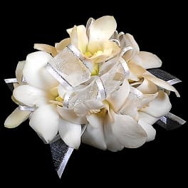 White Dendrobium Orchid Corsage ACW2
