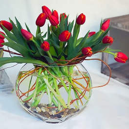Forever Spring