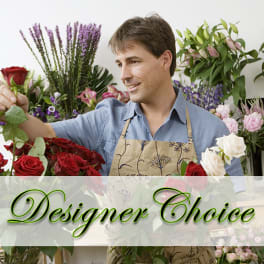 Adelaide's Designer's Choice ADC