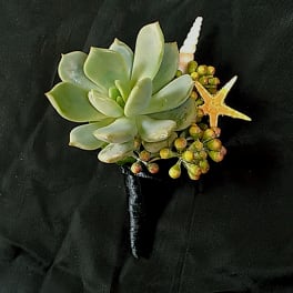 Succulent Boutonniere AB4