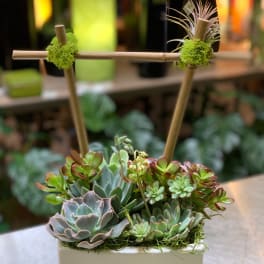 Soothing Succulent Gardens PSG