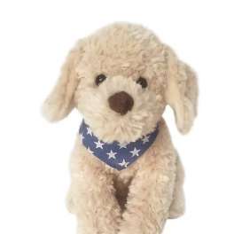 Bentley Golden Doodle