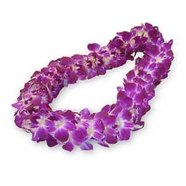 Hawaiian Lei