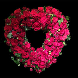 Roses Forever AF6