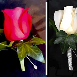 Rose Boutonniere