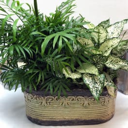 Green Planter ADGP1