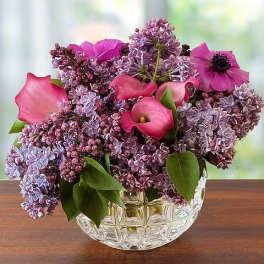 Lilac Mist