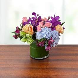 Spring Love