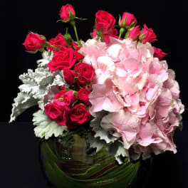 Pink Spring E15-1