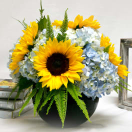 Summer in Provence AD21