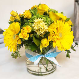 Sunny Yellow MD18-2