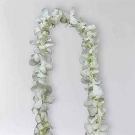 White Single Orchid Leis