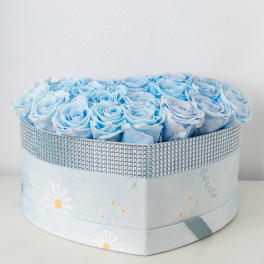 Blue Sky Roses