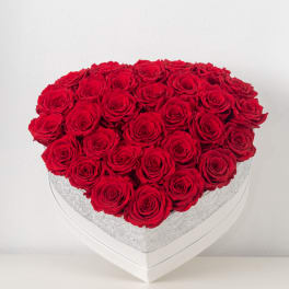 Classy Roses