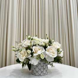 White Serenity