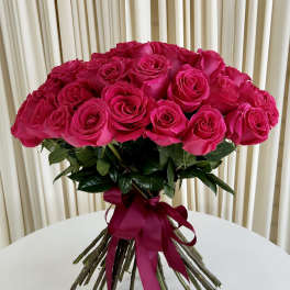 Pink Passion