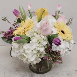 Spring is in Bloom