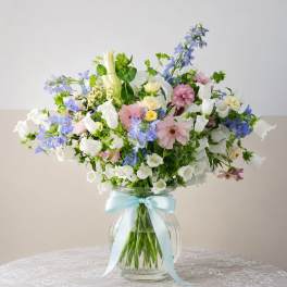 OUR CHOICE - CAMPANULA - LOCAL GROWN - ENCINITAS CARLOS FARMS