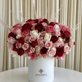 Love in Bloom