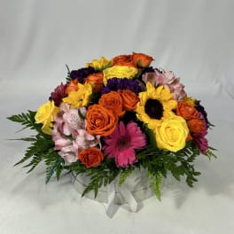 Hatbox Delight