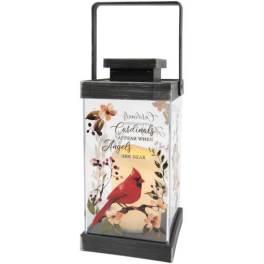 Decorative lantern with a cardinal and memorial text
