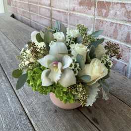 White Lotus