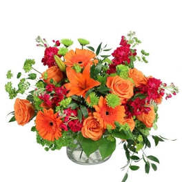 Orange Explosion