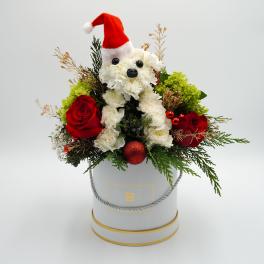 Holly Jolly Dog