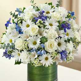 Cherished Memories - Blue and White