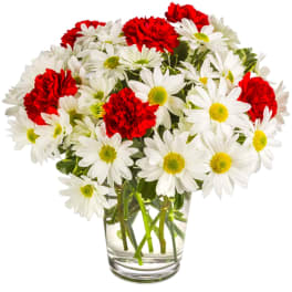 Daisy Crazy by BloomNation™