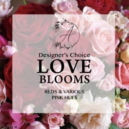 Pink and red roses with a text overlay reading Love Blooms