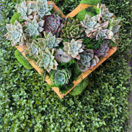 Earthbound Love