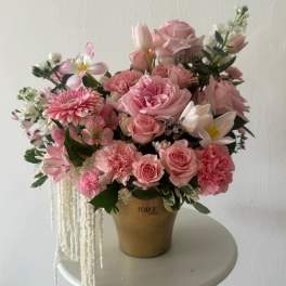 Princess pink