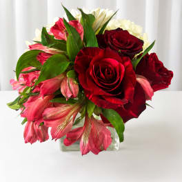 Passion, red